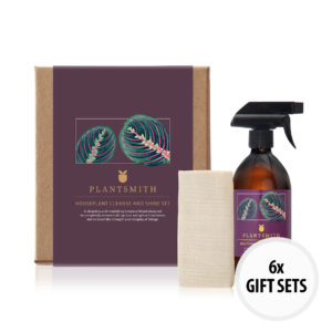 Houseplant Cleanse and Shine Gift Set